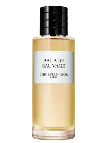 christian dior balance sauvage|Dior Sauvage female version.